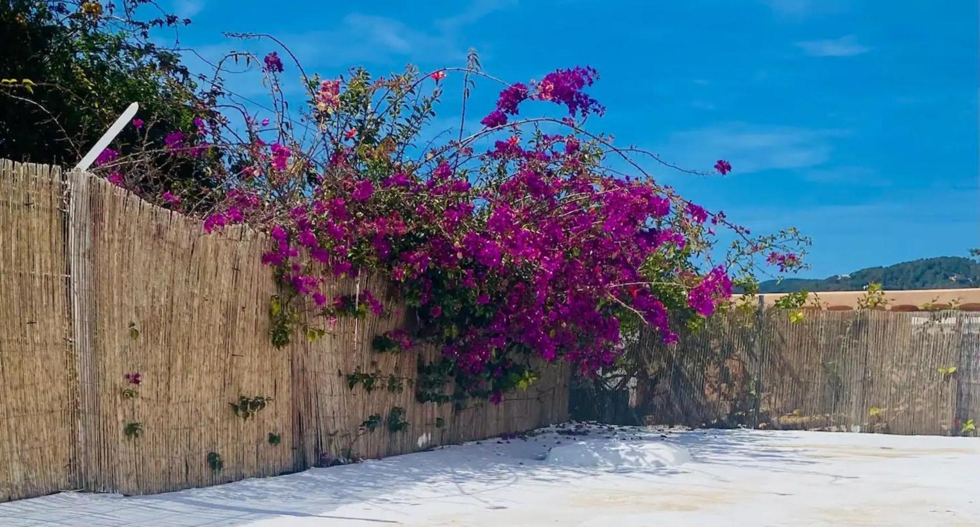 Villa Air Sant Jordi de ses Salines Eksteriør bilde